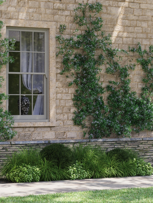 Soto Evergreen - Shade - Narrow